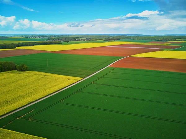 Vue Aérienne Panoramique Champs Colza Jaune Ile France France — Photo