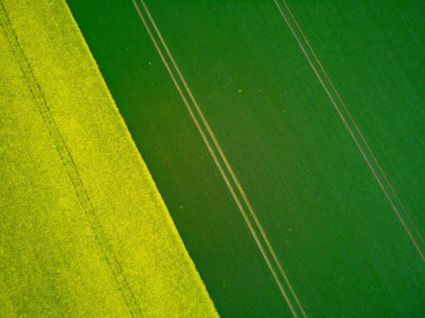 Vista Panorámica Los Campos Colza Amarilla Ile France Francia — Foto de Stock