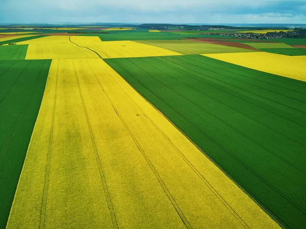 Vista Aérea Panorâmica Campos Colza Amarelos Ile France França — Fotografia de Stock