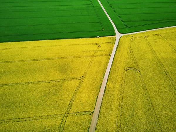 Scénický Letecký Pohled Žlutá Pole Řepky Ile France Francie — Stock fotografie