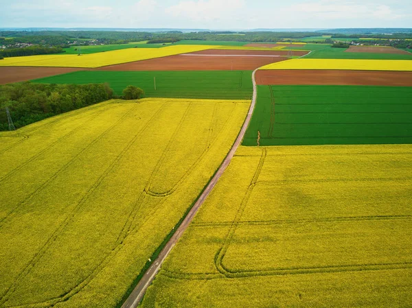 Scénický Letecký Pohled Žlutá Pole Řepky Ile France Francie — Stock fotografie