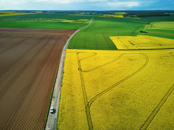 Scenic Aerial Drone View Yellow Rapeseed Fields Ile France France — Stock Photo, Image