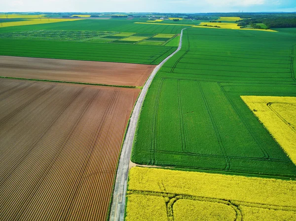 Fransa 'nın Ile-de-France kentindeki sarı kolza tohumu tarlalarının hava aracı görüntüsü