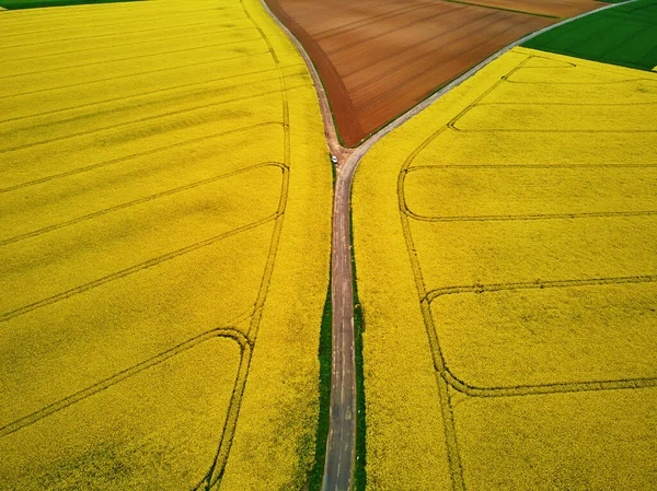 Scenic Aerial Drone View Yellow Rapeseed Fields Ile France France — Stock Photo, Image