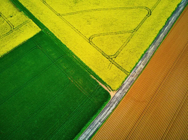 Scenic Aerial Drone View Yellow Rapeseed Fields Ile France France — Stock Photo, Image