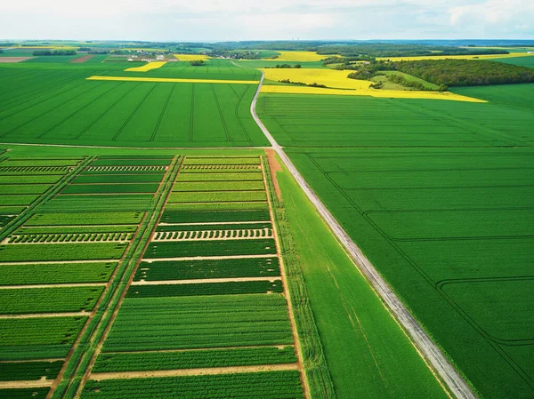 Malowniczy Widok Lotu Ptaka Zielone Żółte Pola Ile France Francja — Zdjęcie stockowe