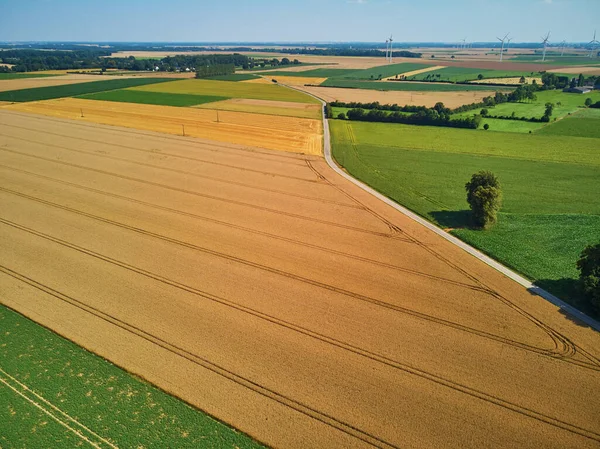 Scenic Aerial Drone View Wind Trubines Green Yellow Fields Normandië — Stockfoto