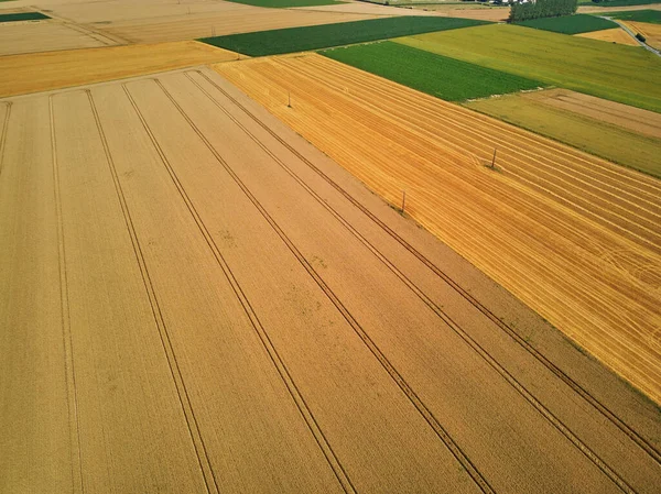 Γραφική Εναέρια Drone Άποψη Του Πράσινου Και Κίτρινο Πεδία Στη — Φωτογραφία Αρχείου