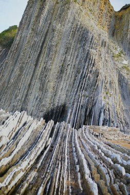 Zumaia 'nın ünlü sineği, Bask Ülkesi, İspanya. Flysch, derin sularda ilerleyen tortulu kaya katmanlarından oluşan bir dizi.