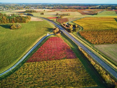 Fransa 'daki otlakların, tarlaların ve üzüm bağlarının havadan görünüşü. Yeşil tarlaları ve çayırları olan güzel bir Fransız kırsalı. Gün batımında kırsal alan