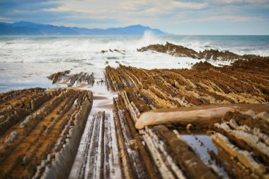 Zumaia 'nın ünlü sineği, Bask Ülkesi, İspanya. Flysch, derin sularda ilerleyen tortulu kaya katmanlarından oluşan bir dizi.