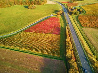 Fransa 'daki otlakların, tarlaların ve üzüm bağlarının havadan görünüşü. Yeşil tarlaları ve çayırları olan güzel bir Fransız kırsalı. Gün batımında kırsal alan