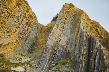 Zumaia 'nın ünlü sineği, Bask Ülkesi, İspanya. Flysch, derin sularda ilerleyen tortulu kaya katmanlarından oluşan bir dizi.