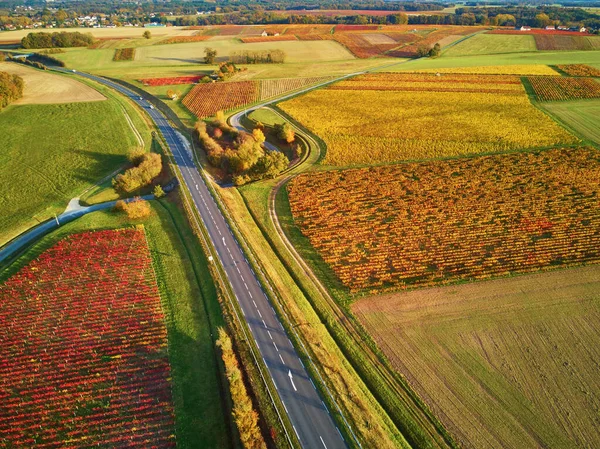 从空中俯瞰法国的牧场 农田和葡萄园 美丽的法国乡村 绿油油的田野和草地 日落时分的乡村风景 — 图库照片