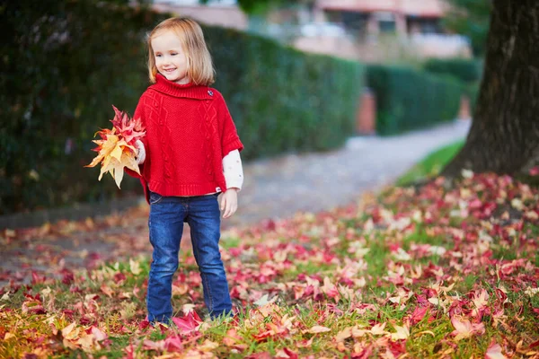 Adorable Preschooler Girl Gathering Red Fallen Maple Leaves Autumn Park — стоковое фото