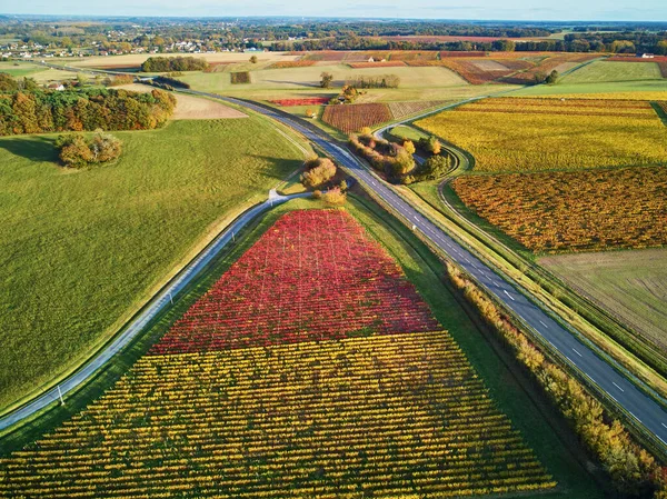 Aerial View Pastures Farmlands Vineyards France Beautiful French Countryside Green — Fotografia de Stock