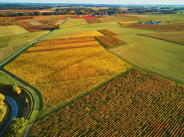Vista Aérea Pastos Tierras Cultivo Viñedos Francia Hermosa Campiña Francesa —  Fotos de Stock