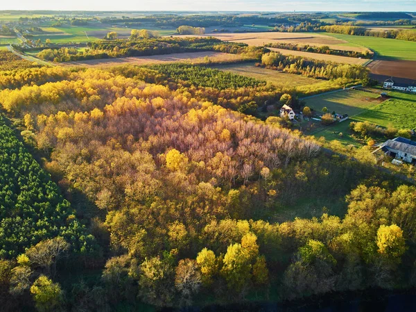 Дорога Через Осенние Леса Центральной Части Франции — стоковое фото