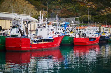 Getaria limanında balıkçı tekneleri, Bask bölgesi, İspanya