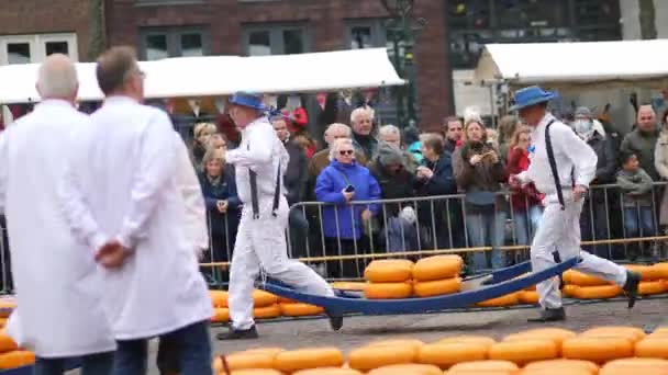 Alkmaar Netherlands April 2022 Cheese Carriers Walking Cheeses Famous Dutch — Vídeo de Stock