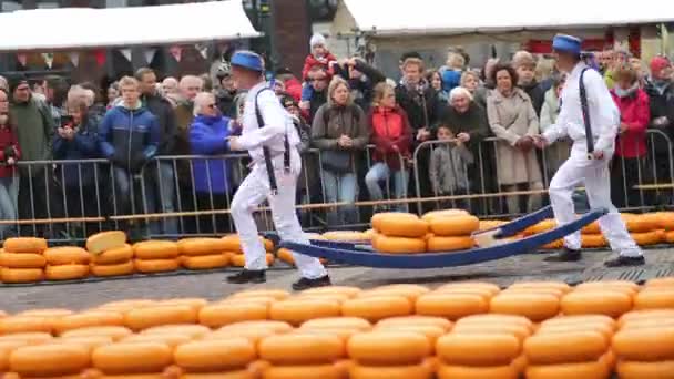 Alkmaar Netherlands April 2022 Cheese Carriers Walking Cheeses Famous Dutch — ストック動画