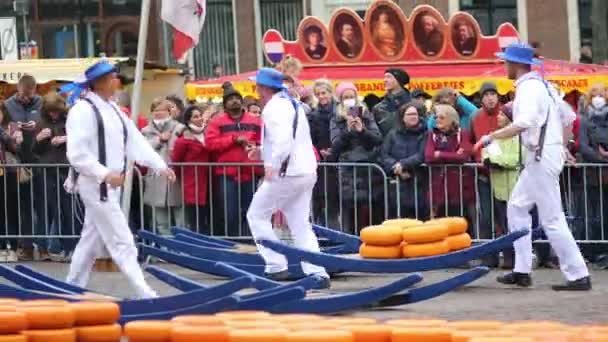 Alkmaar Netherlands April 2022 Cheese Carriers Walking Cheeses Famous Dutch — Stock Video