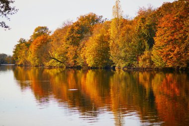 Scenic view of autumn forest and river Vienne near medieval castle of Les Ormes, France