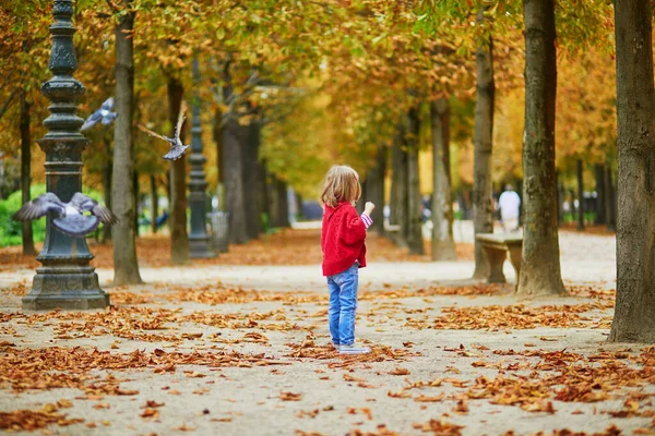 Entzückendes Vorschulmädchen Das Einem Herbsttag Garten Der Tuileries Paris Spaziert — Stockfoto