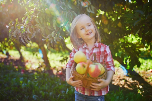 秋天的一天 穿着红白相间衬衫的可爱的学龄前女孩在果园或农场采摘成熟的红色有机苹果 为儿童举办的户外秋季活动 — 图库照片
