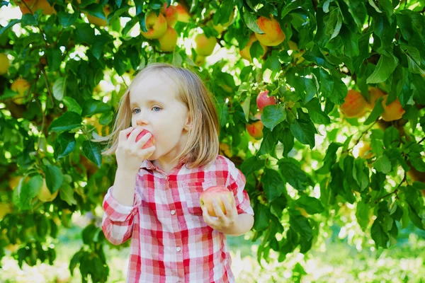 Adorabile Bambina Camicia Rossa Bianca Che Raccoglie Mele Biologiche Mature — Foto Stock