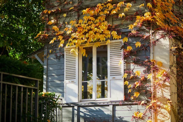 Janela Com Persianas Com Folhas Outono Amarelas Uma Rua Paris — Fotografia de Stock