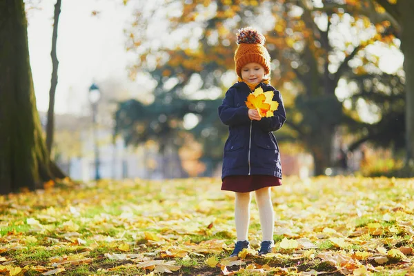 屋外で素敵な晴れた秋の日を楽しむ愛らしい未就学児の女の子 フランスのパリで秋の葉を集める幸せな子供 子供のための屋外秋の活動 — ストック写真