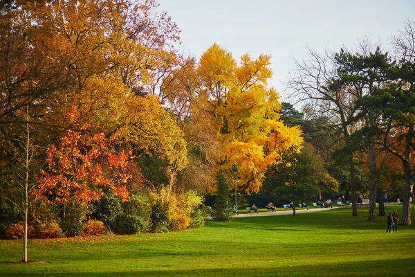 Malowniczy Widok Piękny Park Montsouris Paryżu Francja Jesienny Dzień Listopadzie — Zdjęcie stockowe