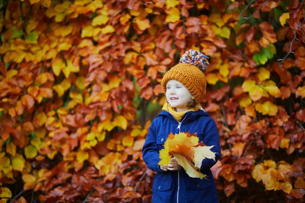 屋外で素敵な晴れた秋の日を楽しむ愛らしい未就学児の女の子 フランスのパリで秋の葉を集める幸せな子供 子供のための屋外秋の活動 — ストック写真
