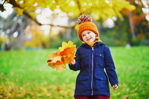 Entzückende Vorschulmädchen Genießen Schöne Und Sonnige Herbsttage Freien Glückliches Kind — Stockfoto