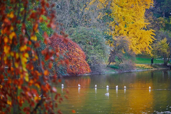 Vista Panorâmica Belo Parque Montsouris Paris França Dia Queda Brilhante — Fotografia de Stock