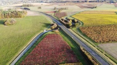 Fransa 'daki otlakların, tarlaların ve üzüm bağlarının havadan görünüşü. Yeşil tarlaları ve çayırları olan güzel bir Fransız kırsalı. Gün batımında kırsal alan