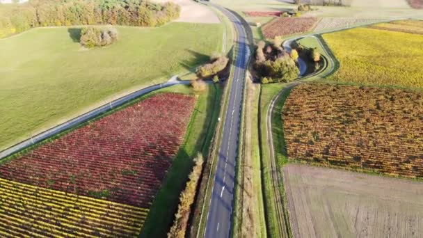 Aerial View Pastures Farmlands Vineyards France Beautiful French Countryside Green — Stock video