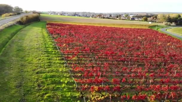 Aerial View Pastures Farmlands Vineyards France Beautiful French Countryside Green — Αρχείο Βίντεο