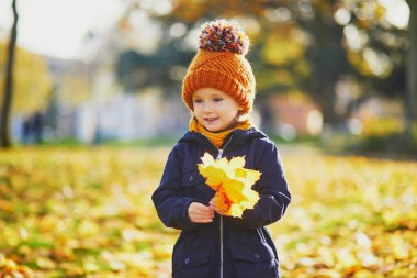 Sevimli anaokulu kızı dışarıda güneşli ve güzel bir sonbahar gününün tadını çıkarıyor. Mutlu çocuk Paris, Fransa 'da sonbahar yaprakları topluyor. Çocuklar için açık hava sonbahar aktiviteleri