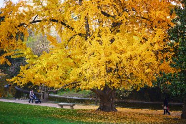 Fransa 'nın Paris şehrindeki güzel Montsouris parkının manzarası Kasım ayında aydınlık bir sonbahar günü