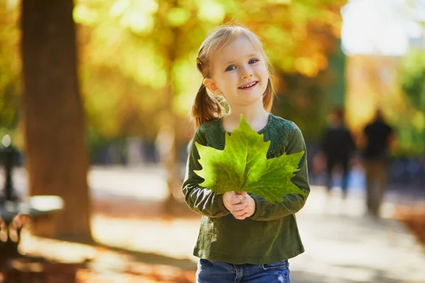 屋外で素敵な晴れた秋の日を楽しむ愛らしい未就学児の女の子 パリのルクセンブルク庭園で幸せな子供の散歩 子供のための屋外秋の活動 — ストック写真