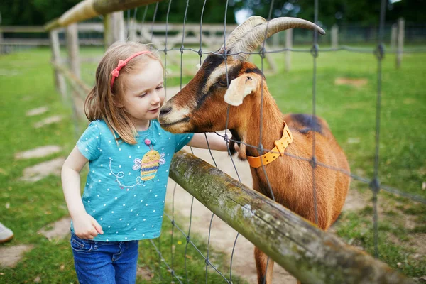 Adorable Little Girl Playing Goats Farm Child Familiarizing Herself Animals — Stock Photo, Image