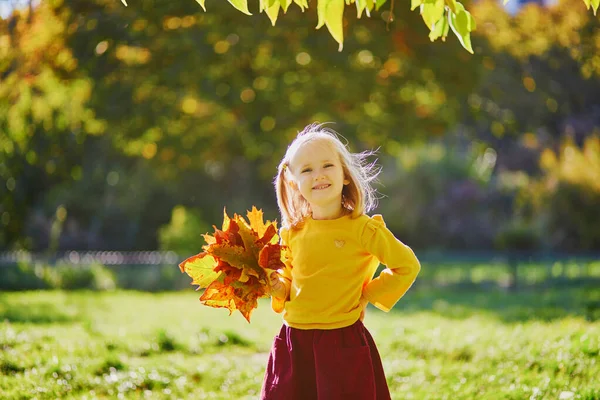 Adorable Preschooler Girl Enjoying Nice Sunny Autumn Day Outdoors Happy — Stock Photo, Image