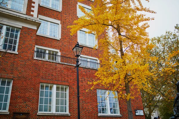 Residential Building London United Kingdom Beautiful Fall Day — Stockfoto