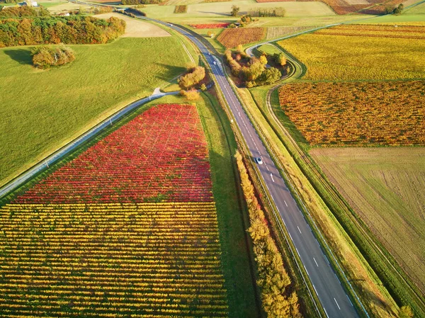Aerial View Pastures Farmlands Vineyards France Beautiful French Countryside Green —  Fotos de Stock