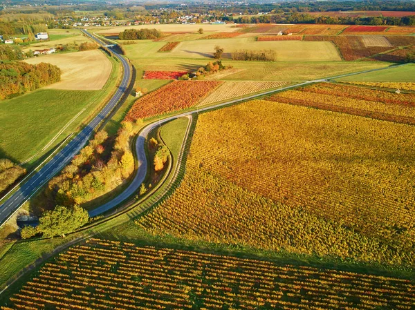 Fransa 'daki otlakların, tarlaların ve üzüm bağlarının havadan görünüşü. Yeşil tarlaları ve çayırları olan güzel bir Fransız kırsalı. Gün batımında kırsal alan