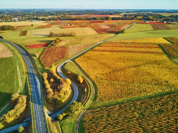 Fransa 'daki otlakların, tarlaların ve üzüm bağlarının havadan görünüşü. Yeşil tarlaları ve çayırları olan güzel bir Fransız kırsalı. Gün batımında kırsal alan