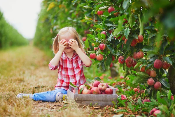 Adorabile Bambina Camicia Rossa Bianca Che Raccoglie Mele Biologiche Mature — Foto Stock