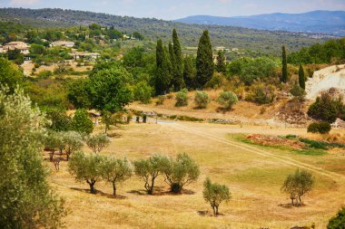 Aerial scenic Mediterranean landscape with cypresses, olive trees and vineyards in Provence, Southern France